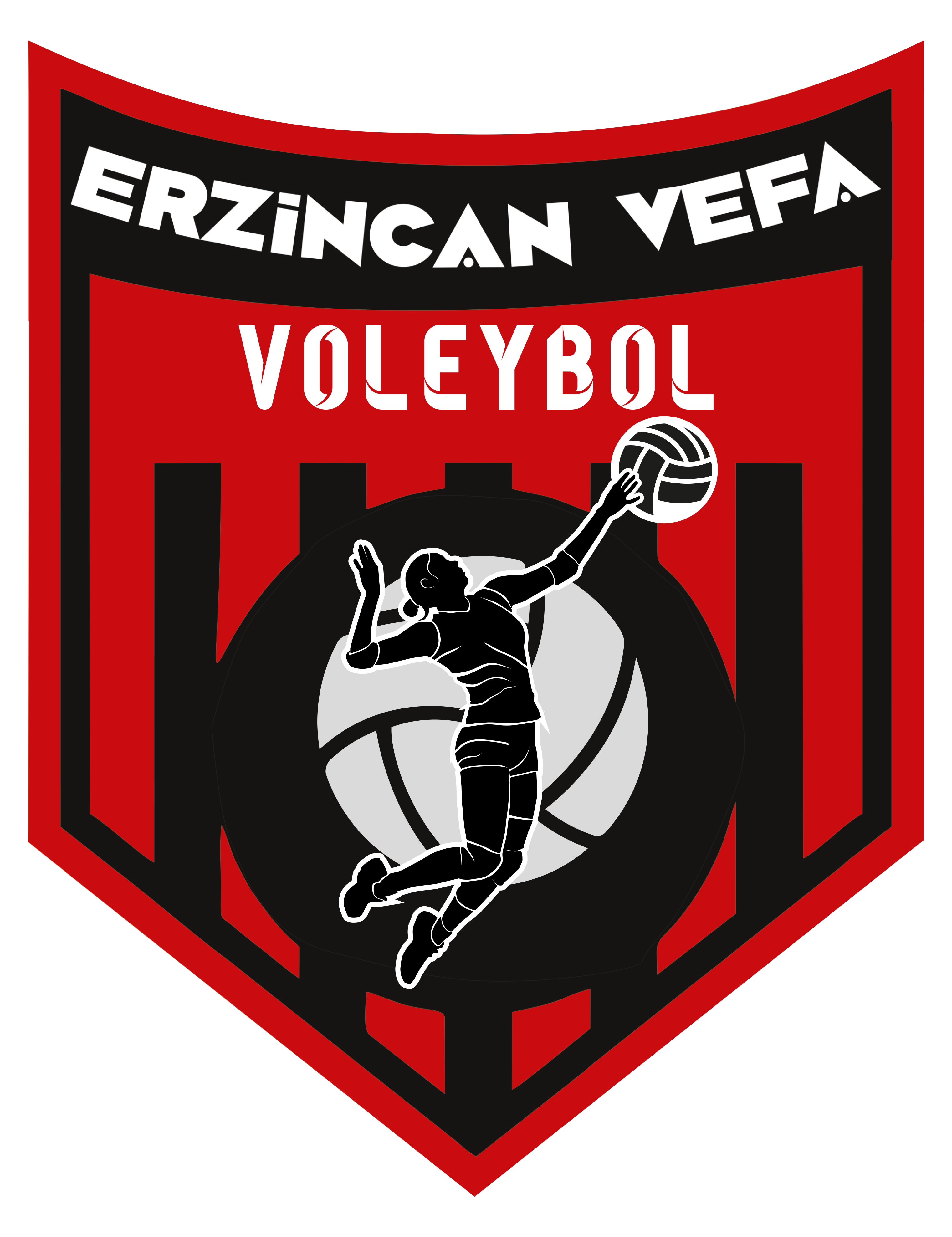 Vefa Spor Logo